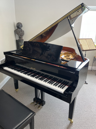 2002 Ritmüller 5'3 baby grand, polished ebony - Grand Pianos